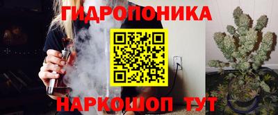 прущие грибы Заволжье