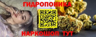 прущие грибы Заволжье