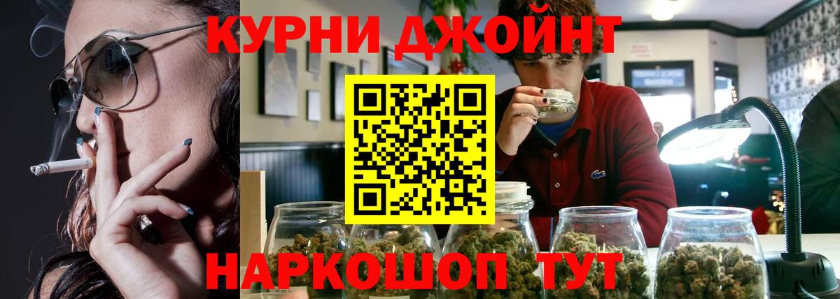 Конопля план Курчалой